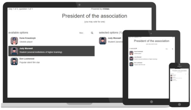 Election Platform